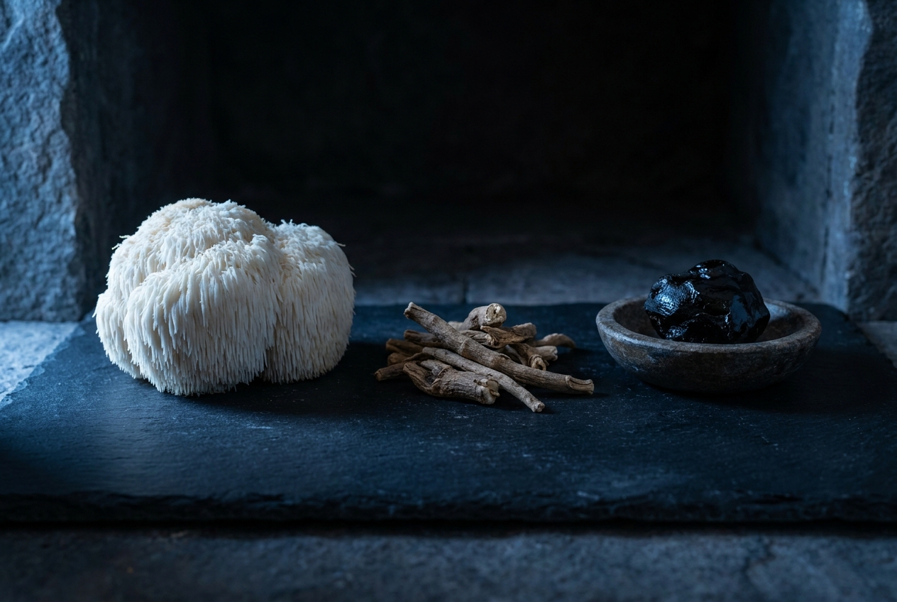 Lion's Mane mushroom, ashwagandha root and shilajit resin on dark slate